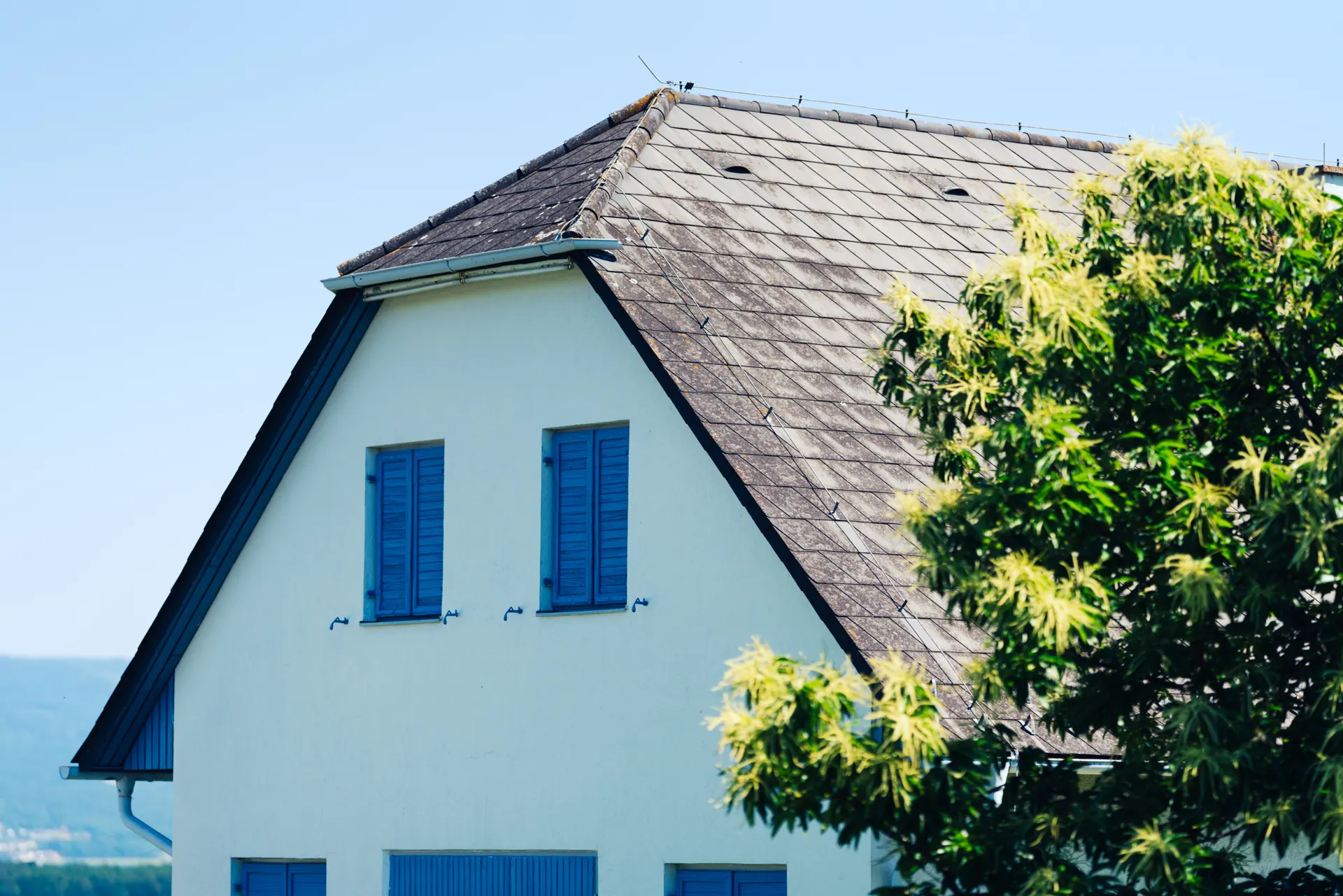 Weißes Haus mit blauen Fensterläden und Ziegeldach hinter blühendem Baum, Haus in der Wüste Osnabrück verkaufen